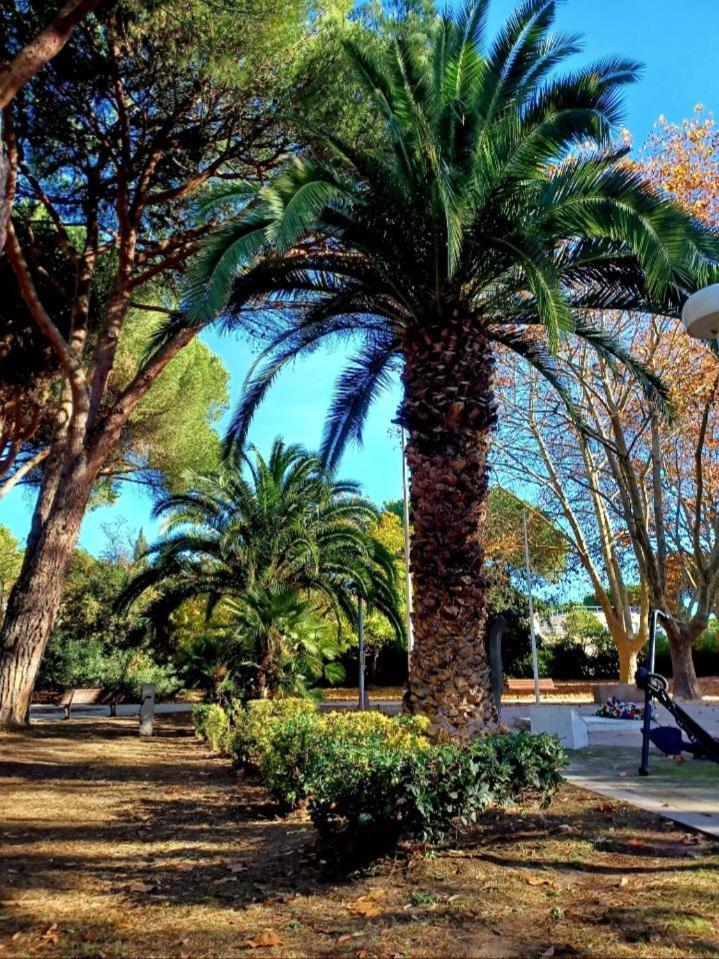 Studio Centre-Ville A 2 Pas De La Plage La Grande-Motte Kültér fotó